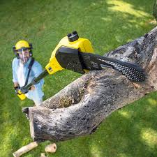 Best Artificial Turf Installation  in Rodeo, CA